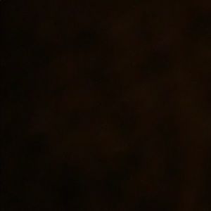 Meet your Posher, Brittney